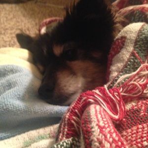 Meet your Posher, Kellyanne